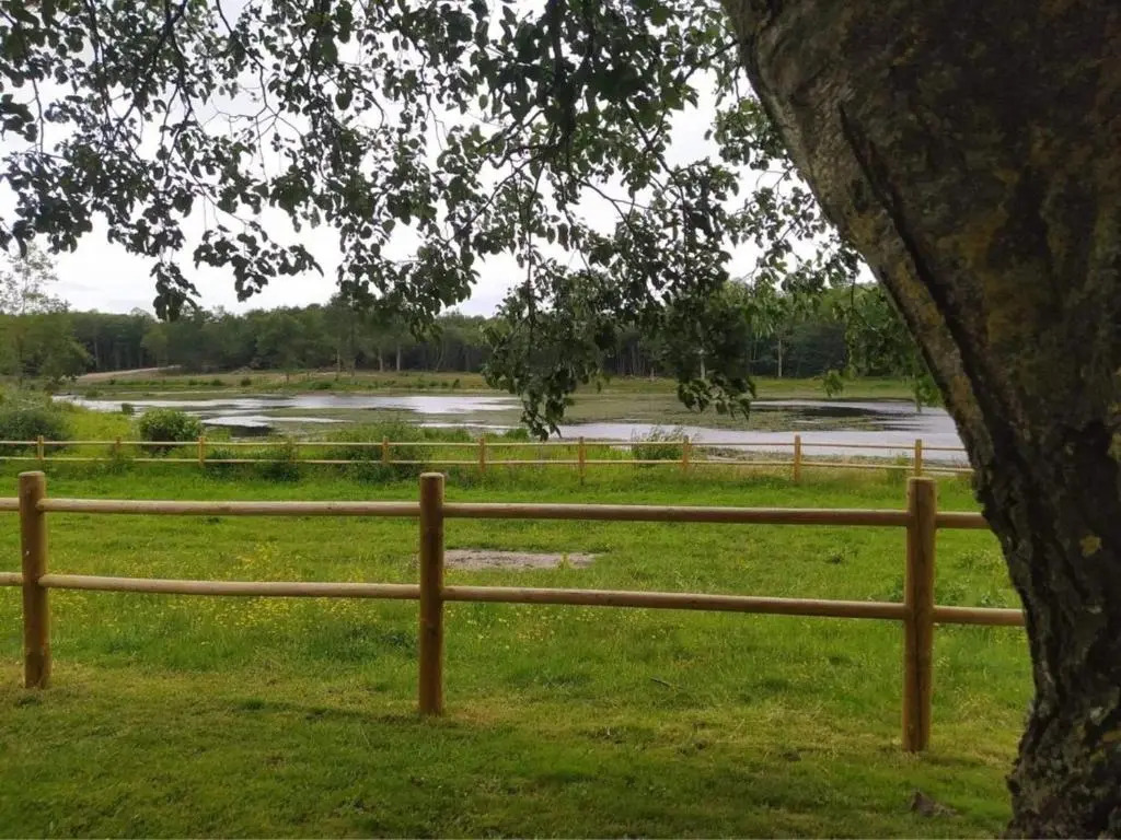 Évasion champêtre : Maison avec piscine, tennis, et étang au cœur de 50 hectares de forêt - FR-1-410-307