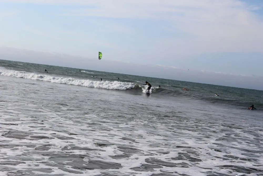 Loki del Mar