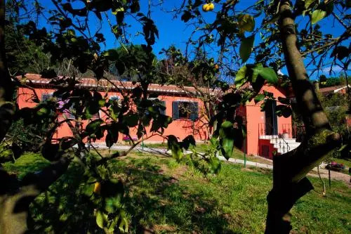 B&B Magico Dormire