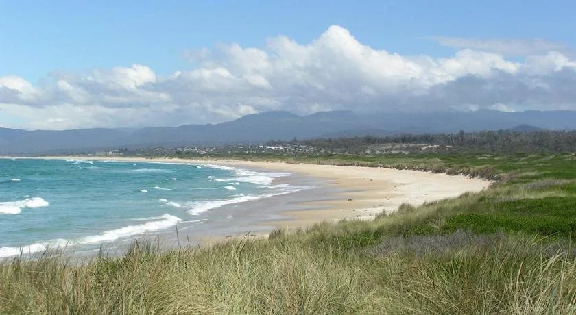 Scamander Tourist Park