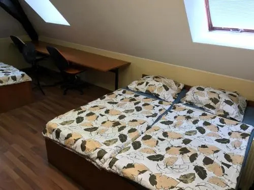 Hostel Vetrinjska Maribor