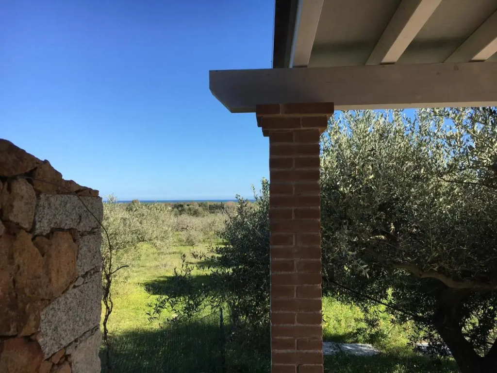 Sa Tanca De Mannoi