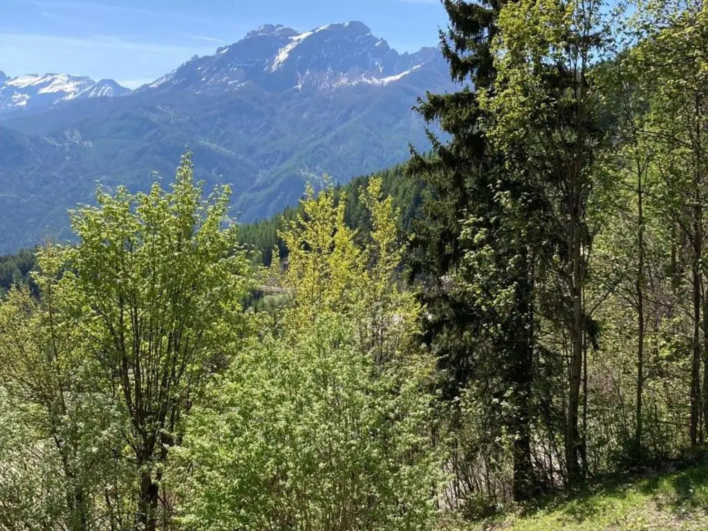 Appartement Pra-Loup, 1 pièce, 6 personnes - FR-1-165A-5