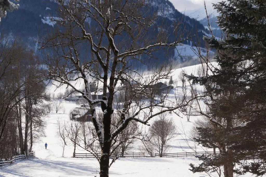 Apartment Alpenpanorama