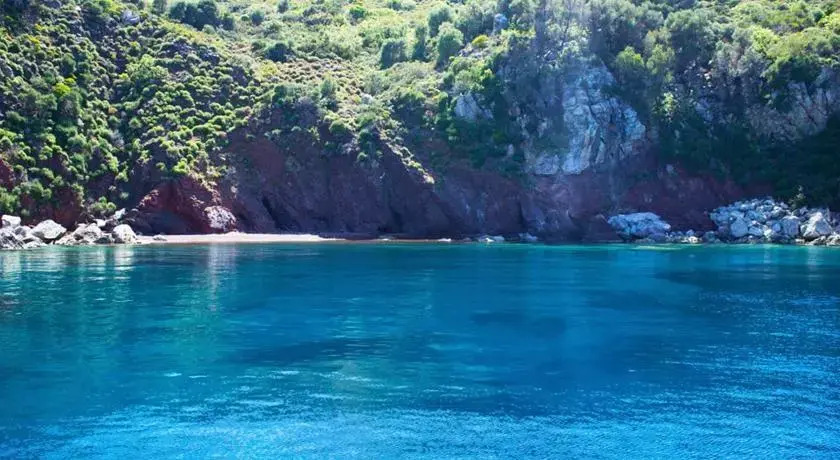Yacht Charter