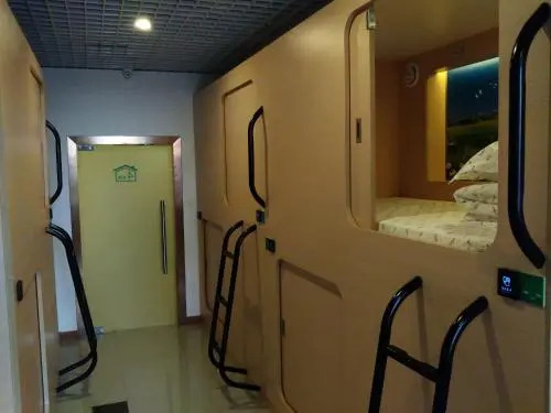 The Olive Tree Capsule Hostel