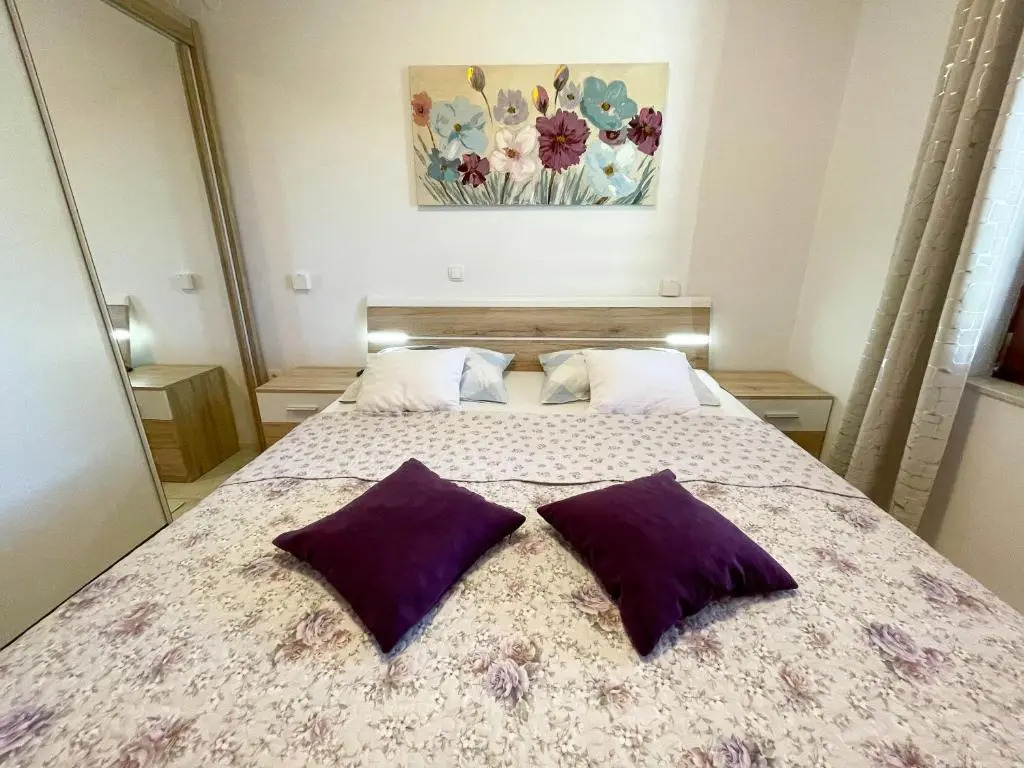 Apartment Zlata