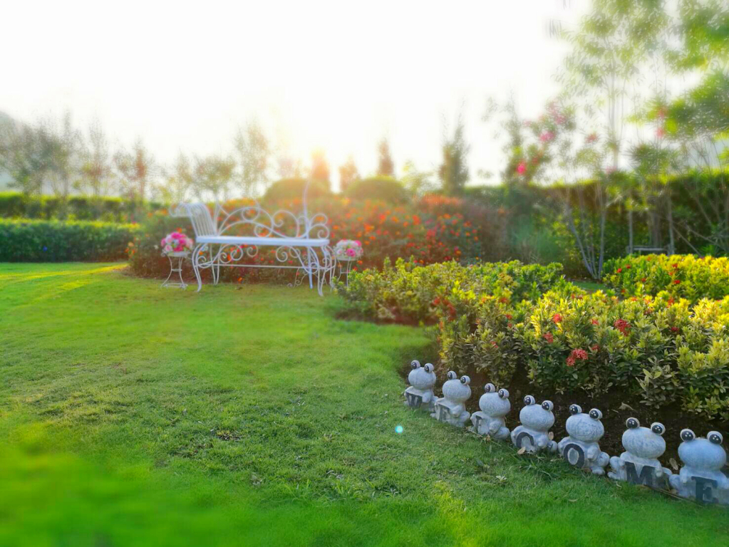 The Focus Khaoyai Resort
