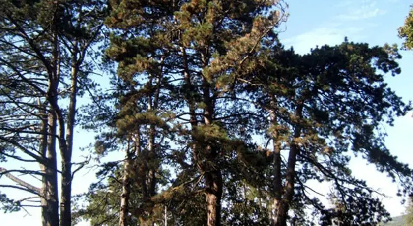 Domaine de Poiseuil - Insolite