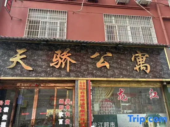 Xinyang Tianjiao Apartment (Century Square Xiyacheng)