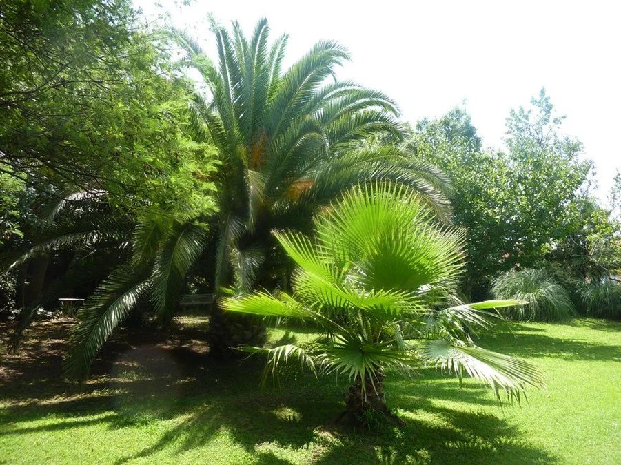 Les jardins du Patriarche Hôtel