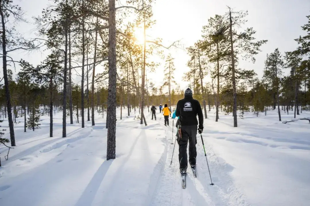 Wilderness Hotel Nellim & Igloos