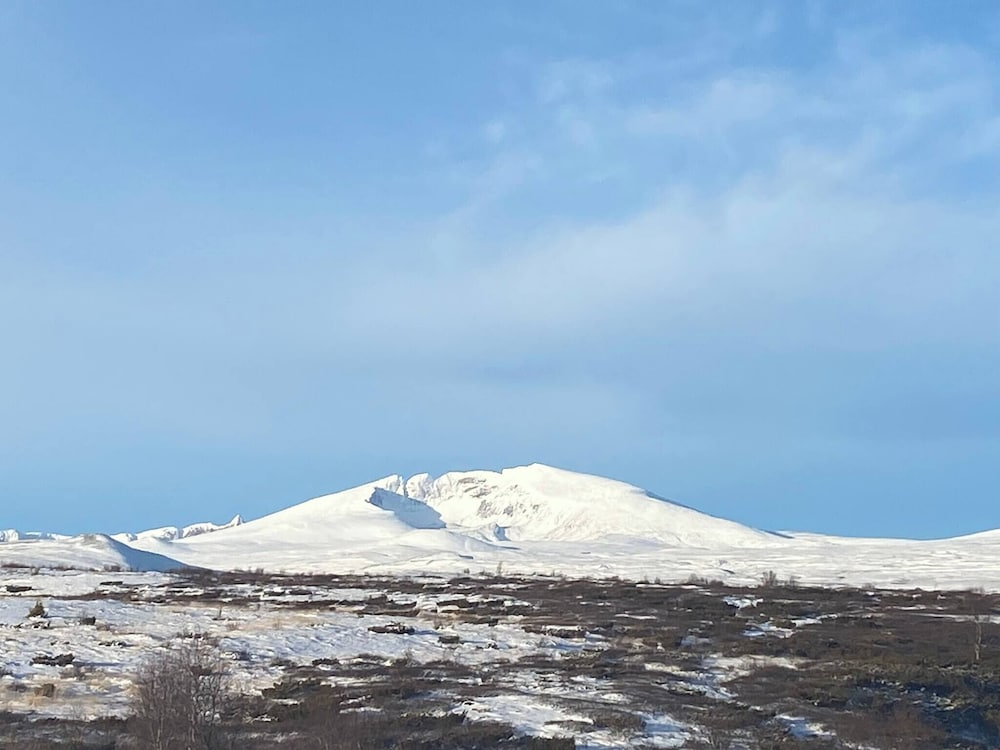 Live in the Realm of the Musk Oxen on Dovrefjell
