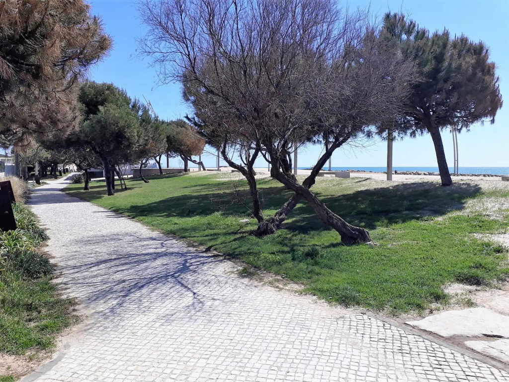 T1 Avenida Mar 8 200m Praia Wi-fi 4 Pessoas