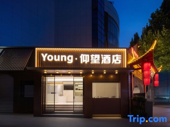 Young Lookingfor Hotel