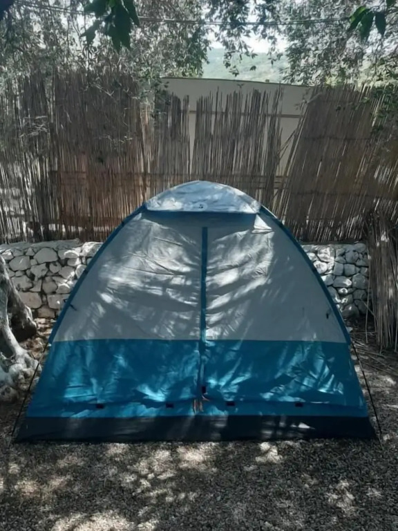 Social Camping JAL