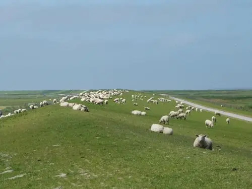 Wangeroogeweg 5a