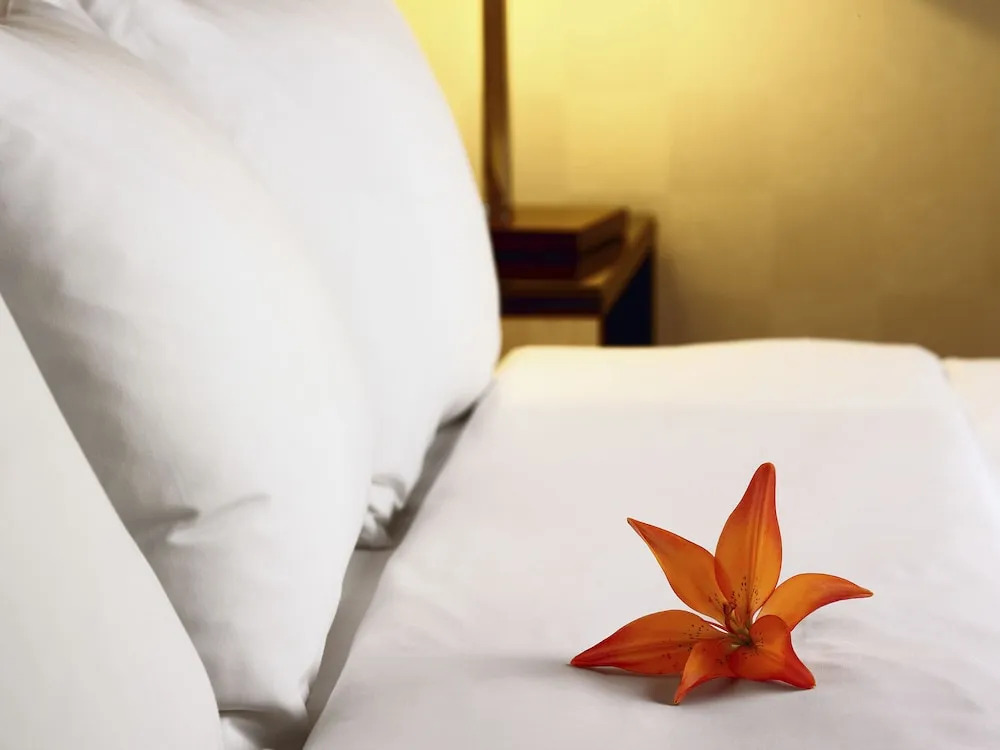 Hotel Acadia