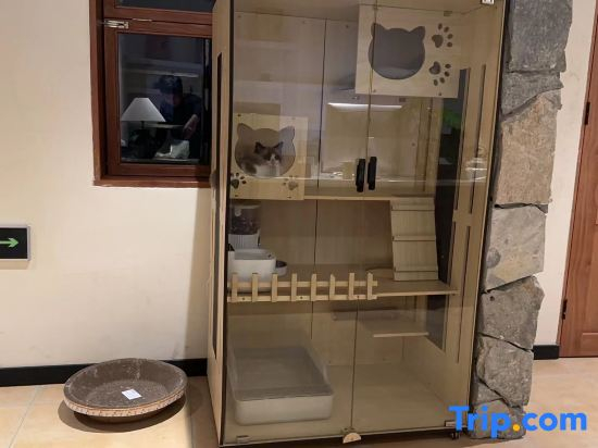 Yangzhou Dongguanjie Pishijie Fanliying Homestay
