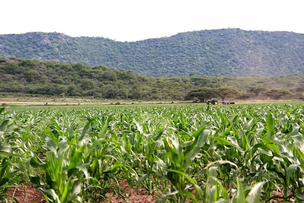 Ghaub Nature Reserve & Farm - ONE Namibia