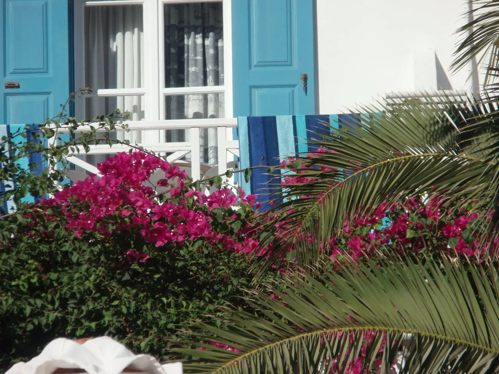 Hotel Matina