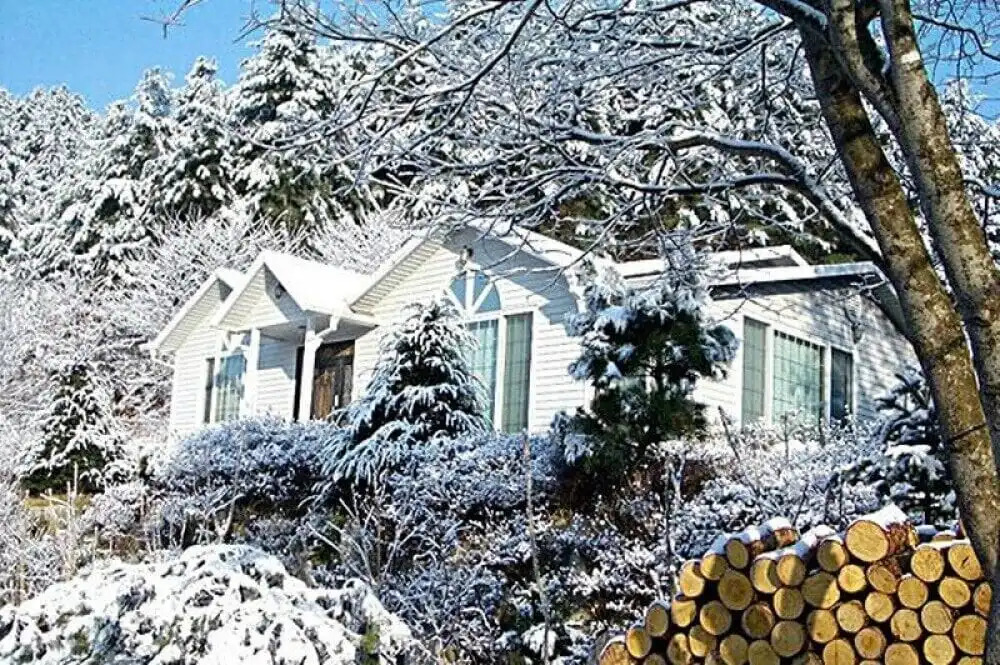 Seasonal Sky Pension