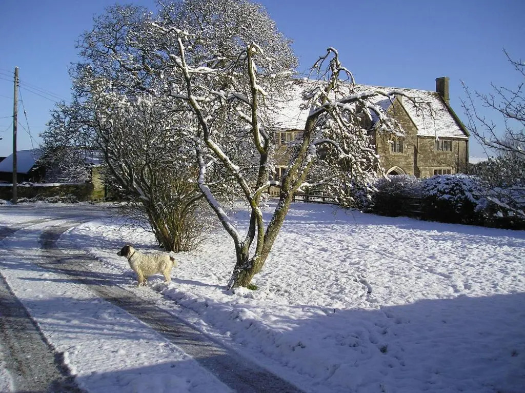 Seymours Court