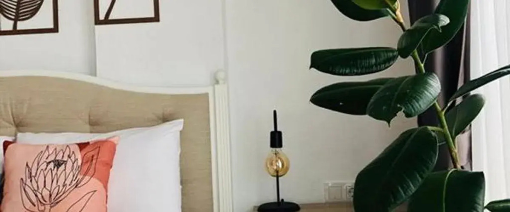Salvia Butik Sogut