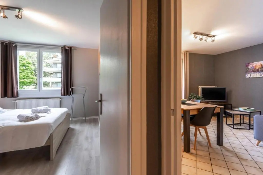 Apartment Classified 3 stars quiet close to the lake and shops
