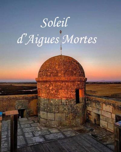 Locations soleil dAigues Mortes