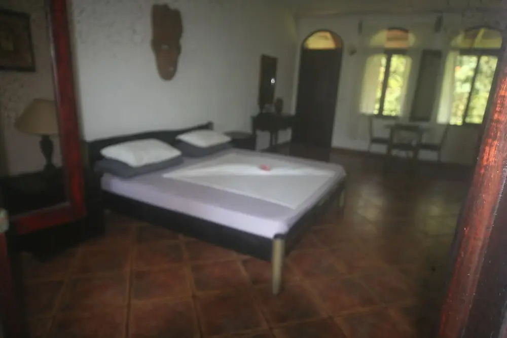 spirit of jungle lodge
