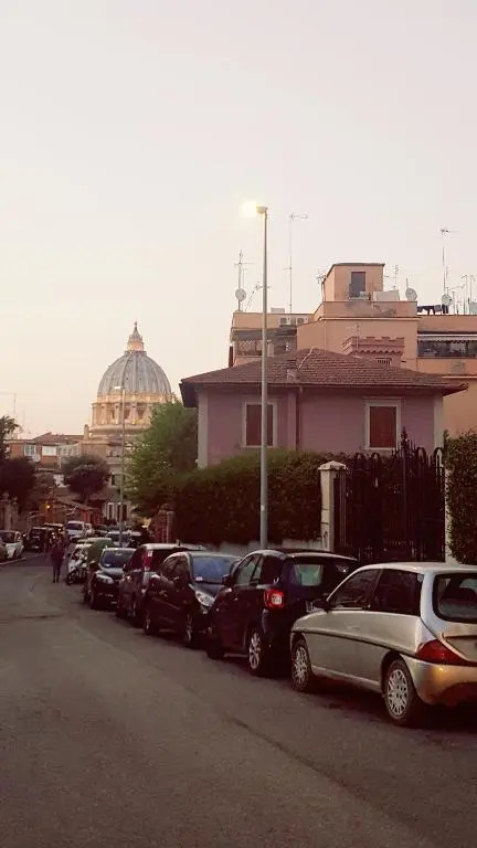 Un bellissimo nido a S.Pietro