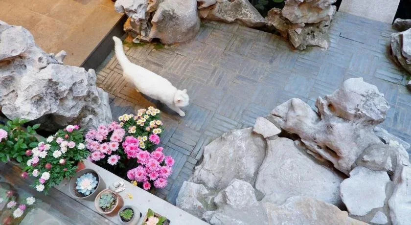 Xiao Yuaner Bed and Breakfast