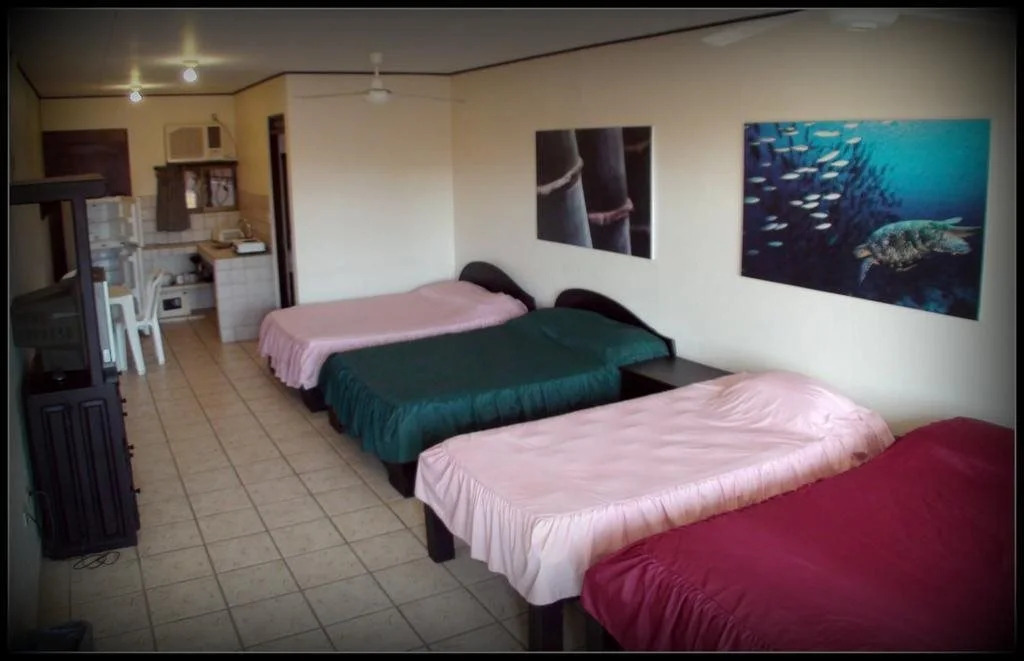 Blue Palm Hotel