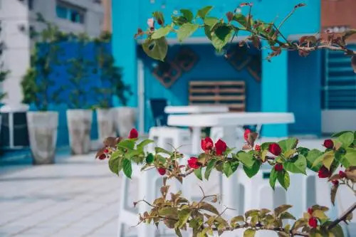 Reef Hostel & Pousada