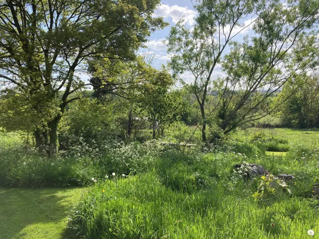 The Shepherd's Hut with seasonal Swimming Pool