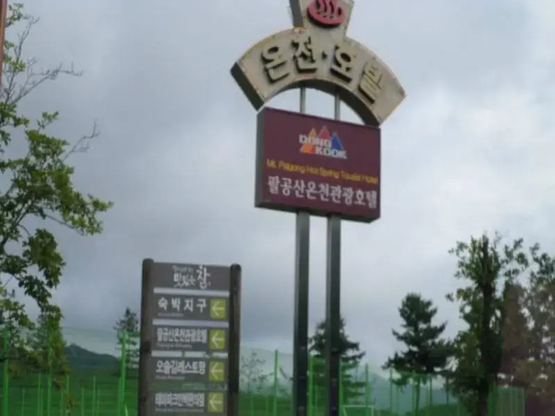 Mt. Palgong Spa Tourist Hotel