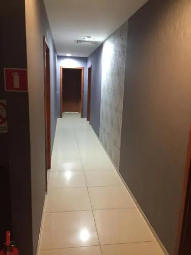 Sokół