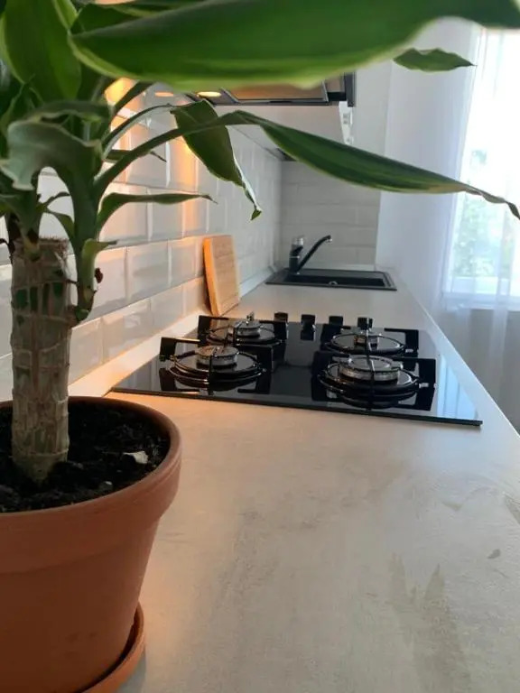 Apartament Anca