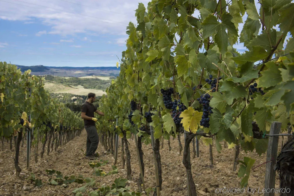 Castello di Velona Resort, Thermal SPA & Winery