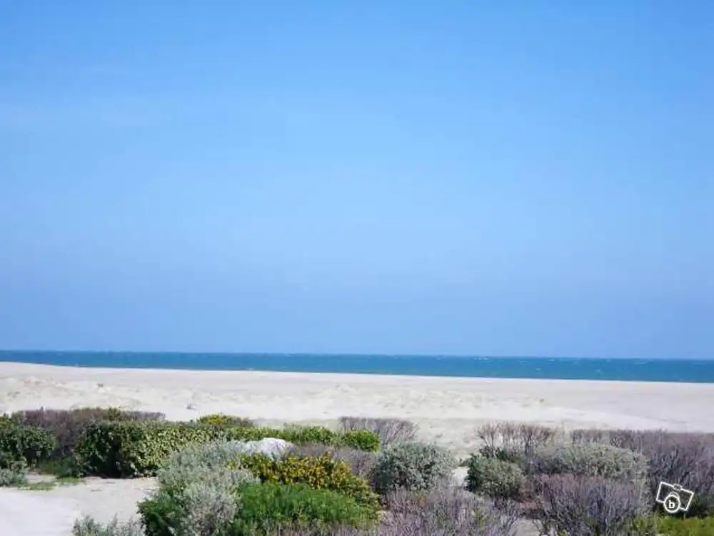 Apartment With one Bedroom in Port Leucate, With Furnished Terrace - 1
