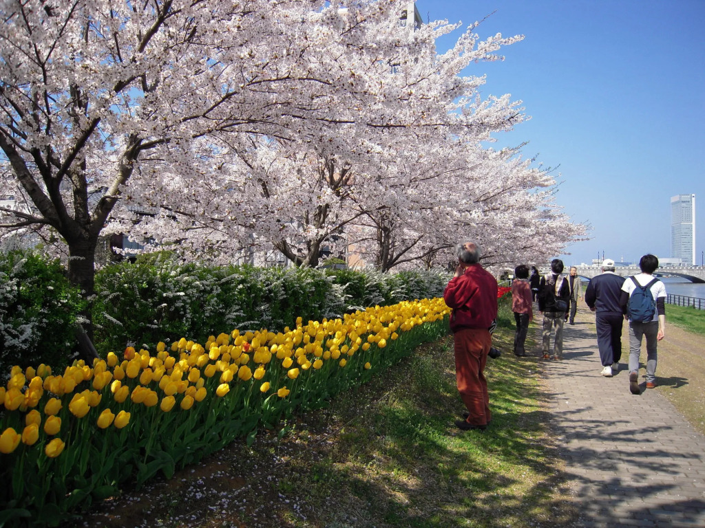 Hotel Okura Niigata