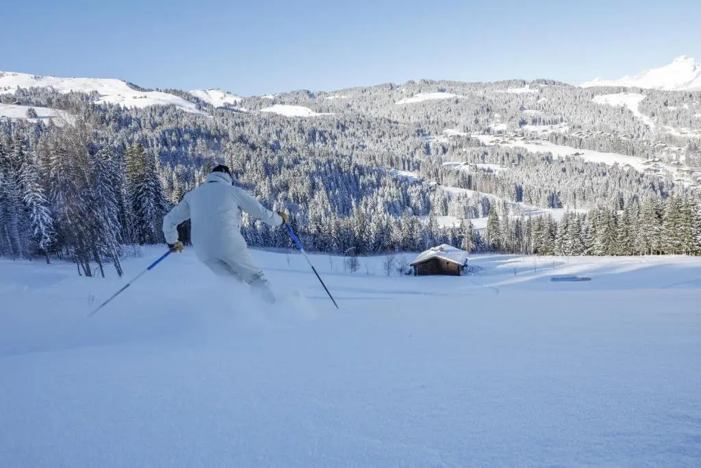 IMMOBILIER DE MONTAGNE - LA COLLECTION - L'alpage
