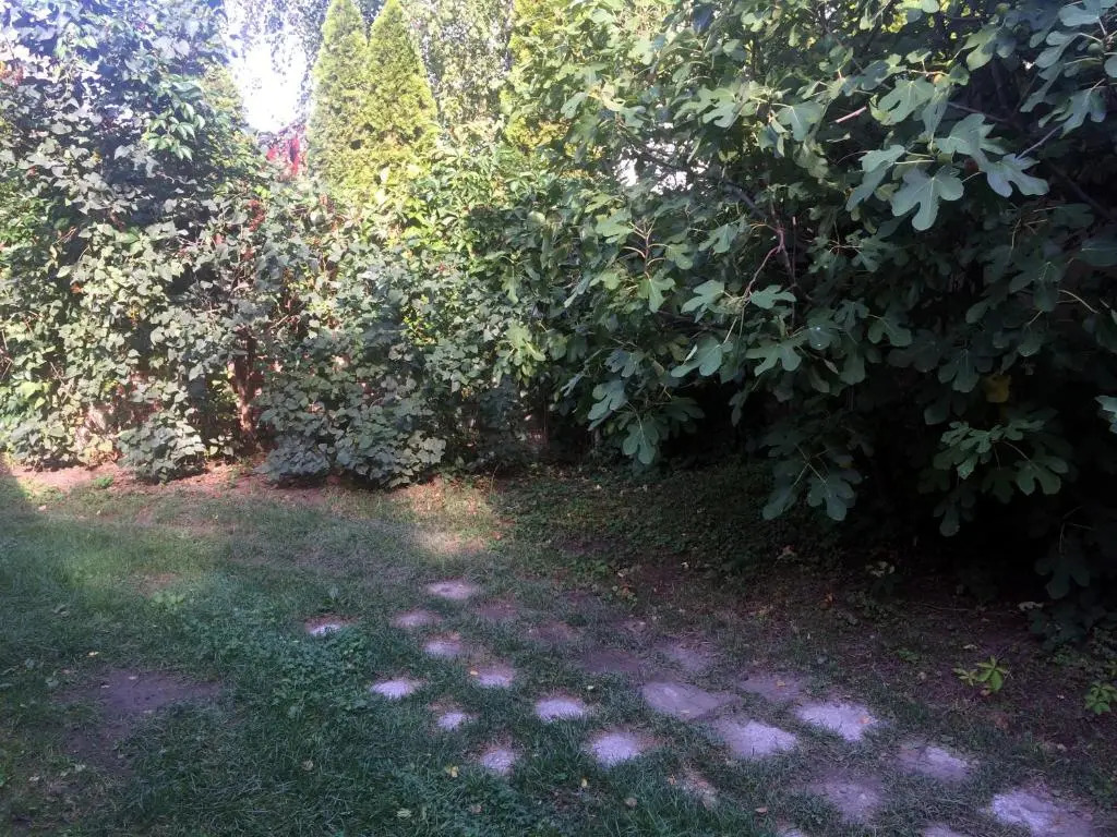 Rosmarinus Apartman