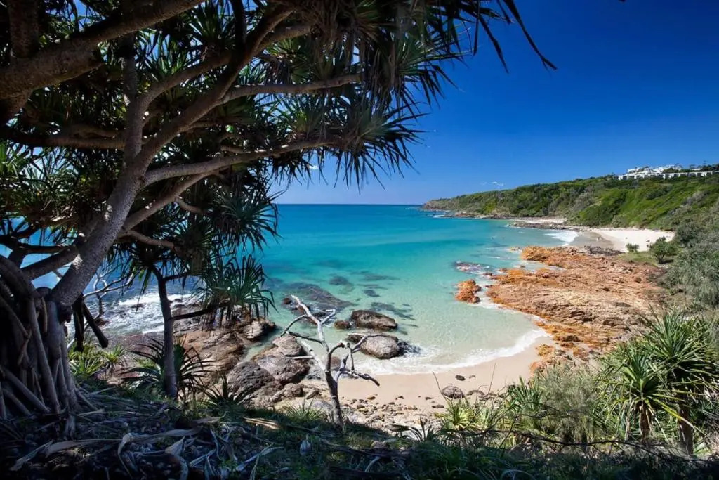 Papillon Coolum