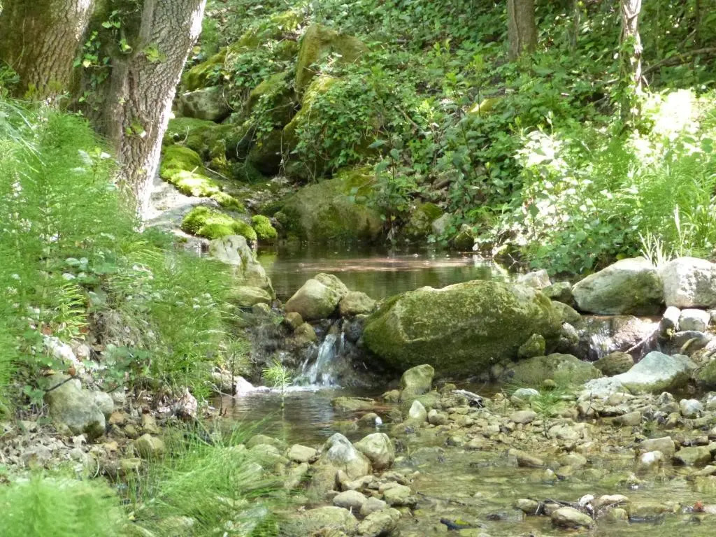Le Cypressat