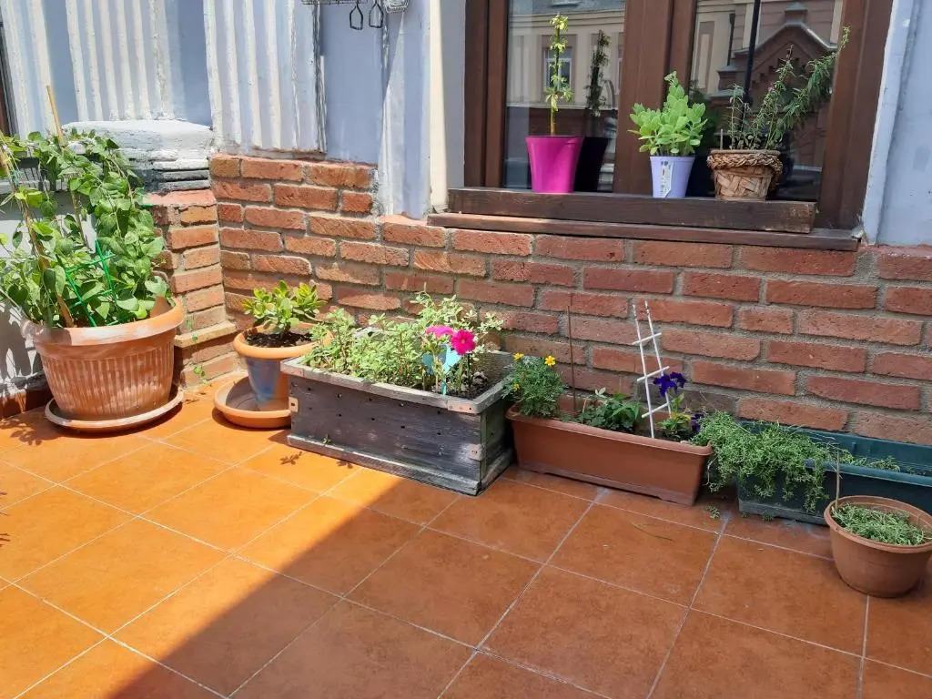 Salve veranda