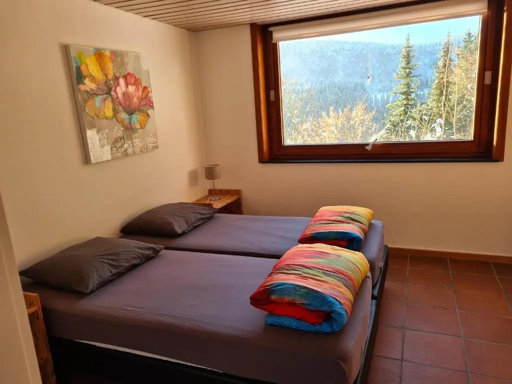 Ruime, gezellige vakantiewoning nabij Winterberg voor 2 tot 6 rustige natuurliefhebbers