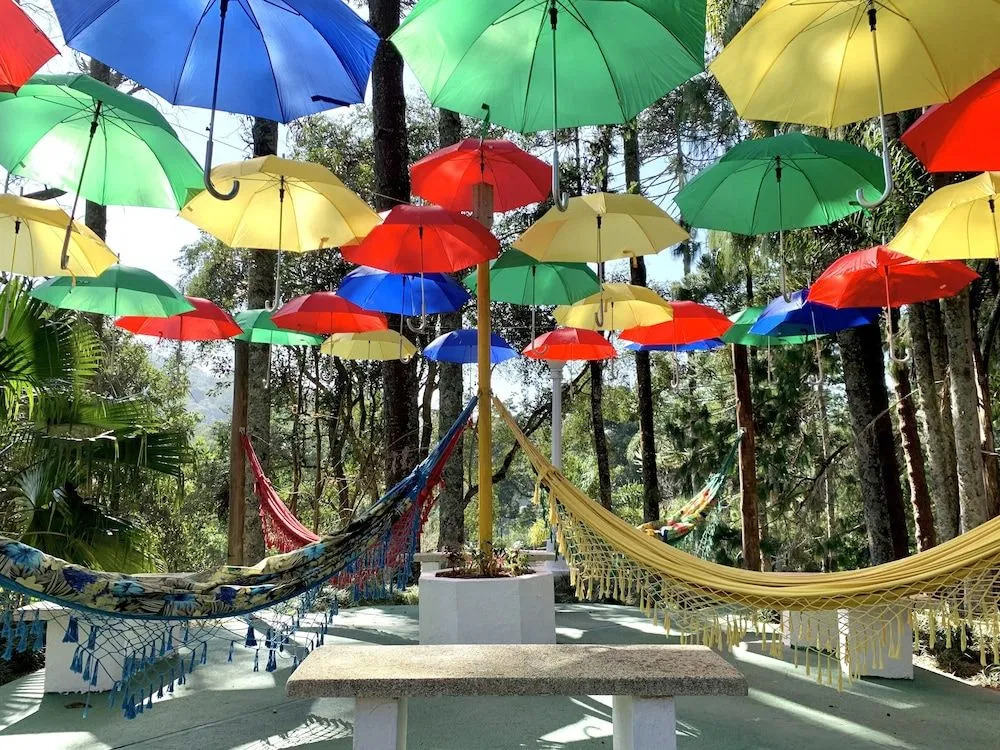 Pousada Serra das Araucárias PetFriendly - CÃOFÉ da manhã Pet
