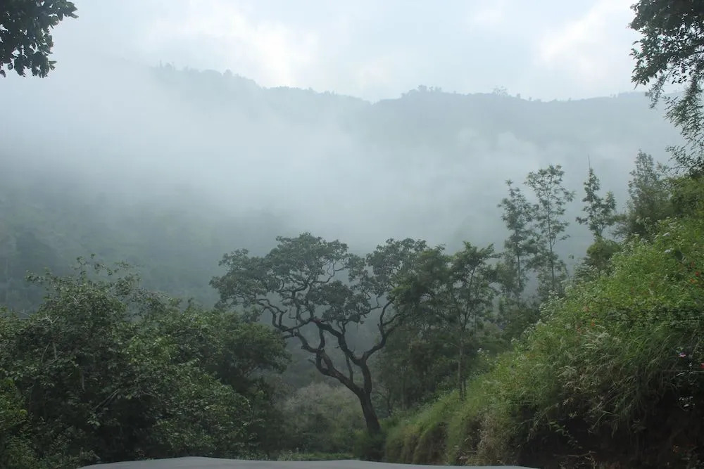 Secret Valley Jungle Resort